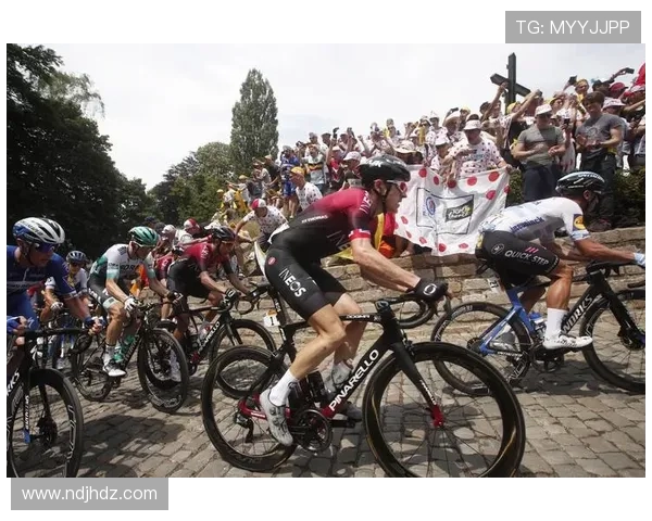 1938环法自行车赛（1941环法自行车大赛）sports
