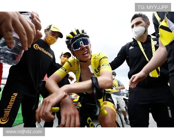 公路自行车环法自行车赛（环法自行车比赛）sports