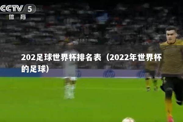 202足球世界杯排名表（2022年世界杯的足球）