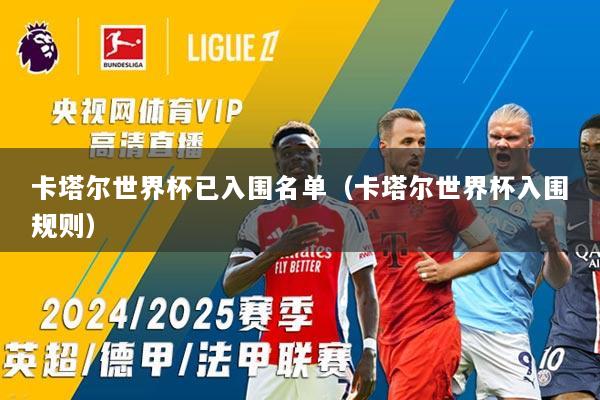 卡塔尔世界杯已入围名单（卡塔尔世界杯入围规则）