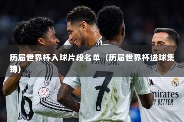 历届世界杯入球片段名单（历届世界杯进球集锦）