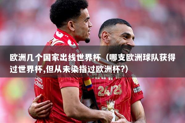欧洲几个国家出线世界杯（哪支欧洲球队获得过世界杯,但从未染指过欧洲杯?）