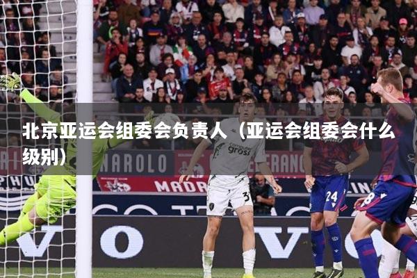 北京亚运会组委会负责人（亚运会组委会什么级别）
