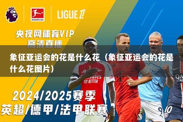 象征亚运会的花是什么花（象征亚运会的花是什么花图片）