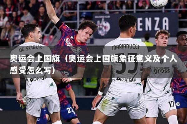 奥运会上国旗（奥运会上国旗象征意义及个人感受怎么写）