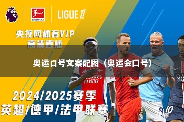 奥运口号文案配图（奥运会囗号）