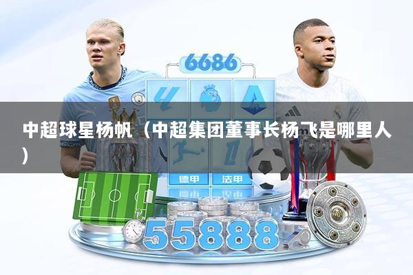 中超球星杨帆（中超集团董事长杨飞是哪里人）